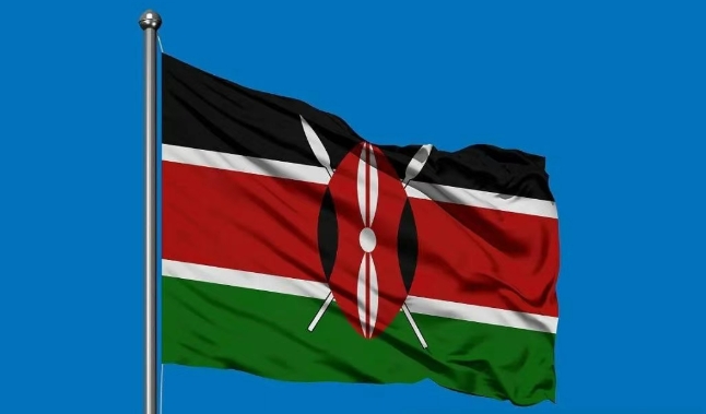 肯尼亚海关数据查询平台（附免费试用查询名额）