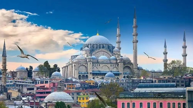 从海关数据看，土耳其进口中国最多的产品有哪些？